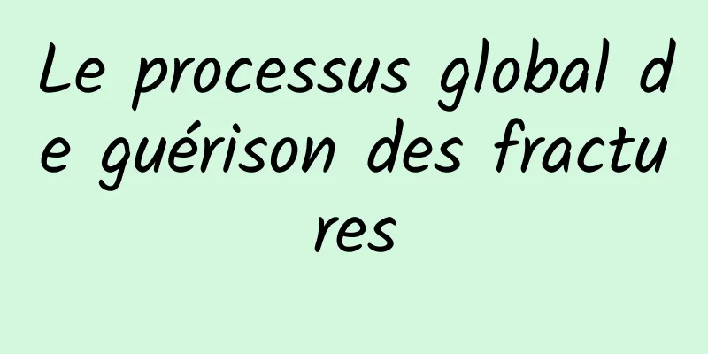 Le processus global de guérison des fractures