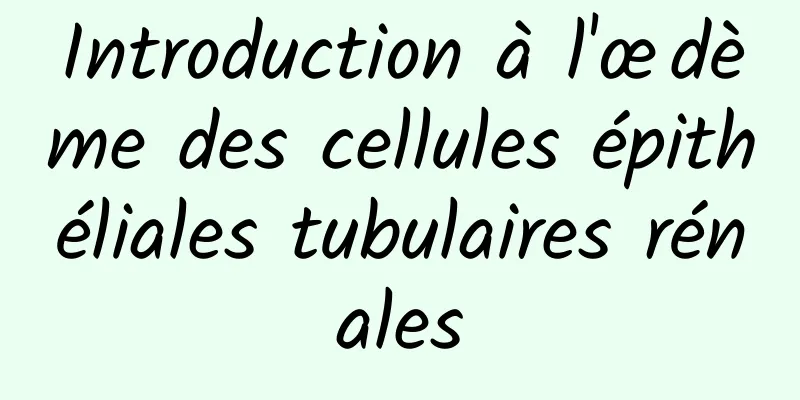 Introduction à l'œdème des cellules épithéliales tubulaires rénales