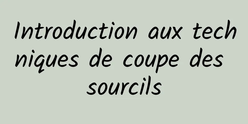 Introduction aux techniques de coupe des sourcils