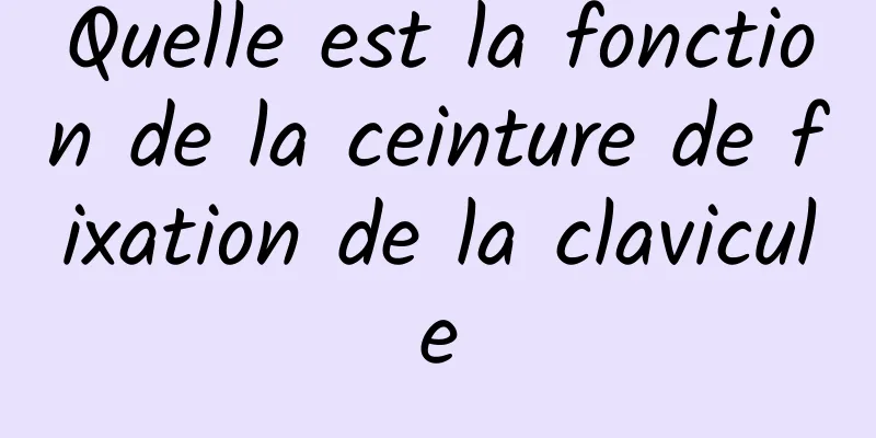 Quelle est la fonction de la ceinture de fixation de la clavicule