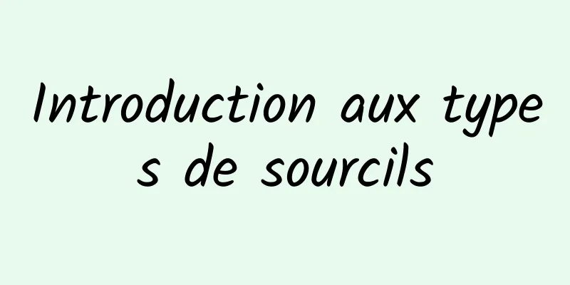 Introduction aux types de sourcils