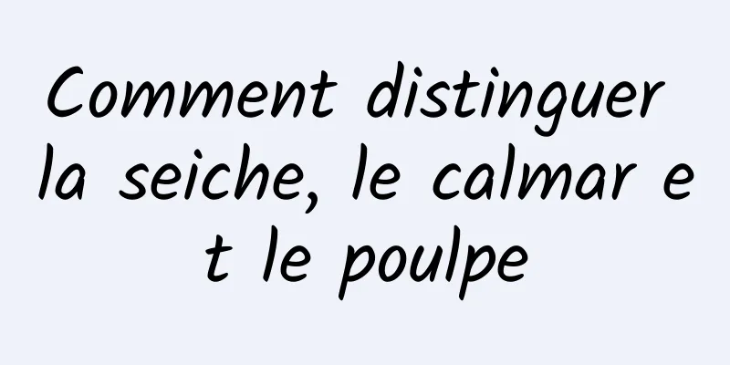 Comment distinguer la seiche, le calmar et le poulpe