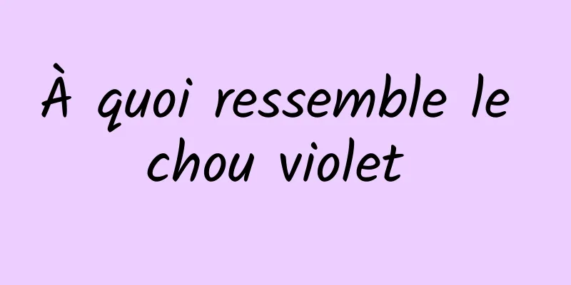 À quoi ressemble le chou violet 