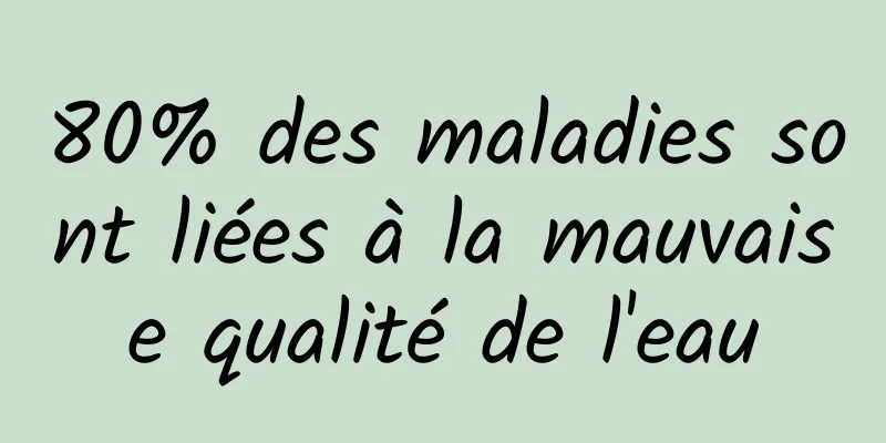 80% des maladies sont liées à la mauvaise qualité de l'eau