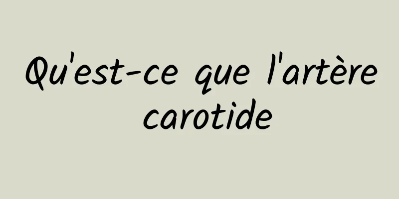 Qu'est-ce que l'artère carotide