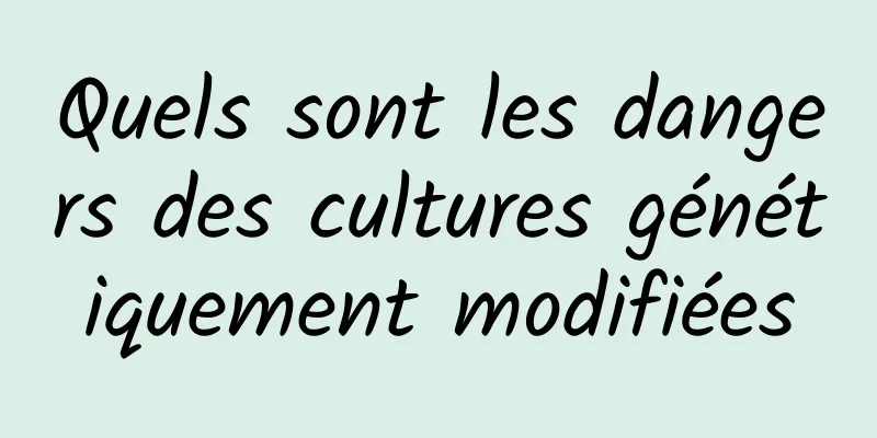 Quels sont les dangers des cultures génétiquement modifiées