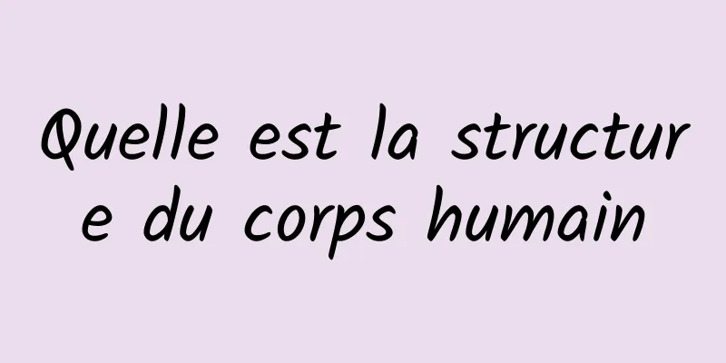 Quelle est la structure du corps humain