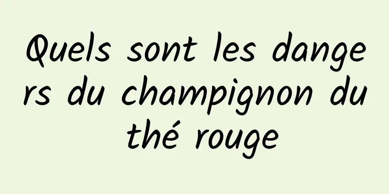 Quels sont les dangers du champignon du thé rouge