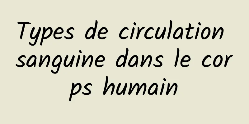 Types de circulation sanguine dans le corps humain