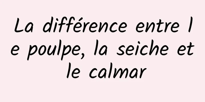 La différence entre le poulpe, la seiche et le calmar