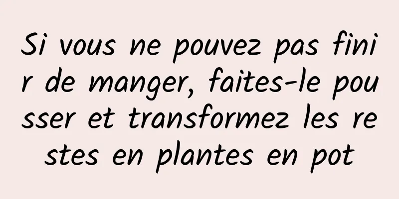 Si vous ne pouvez pas finir de manger, faites-le pousser et transformez les restes en plantes en pot