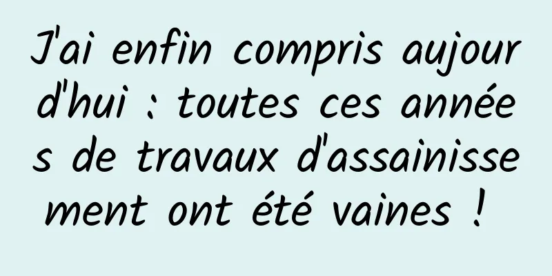 J'ai enfin compris aujourd'hui : toutes ces années de travaux d'assainissement ont été vaines ! 