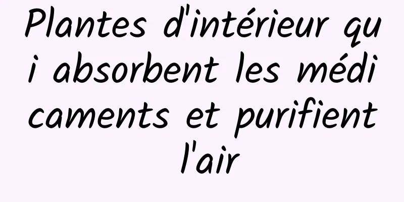 Plantes d'intérieur qui absorbent les médicaments et purifient l'air