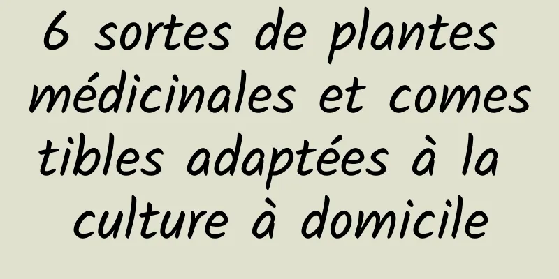 6 sortes de plantes médicinales et comestibles adaptées à la culture à domicile