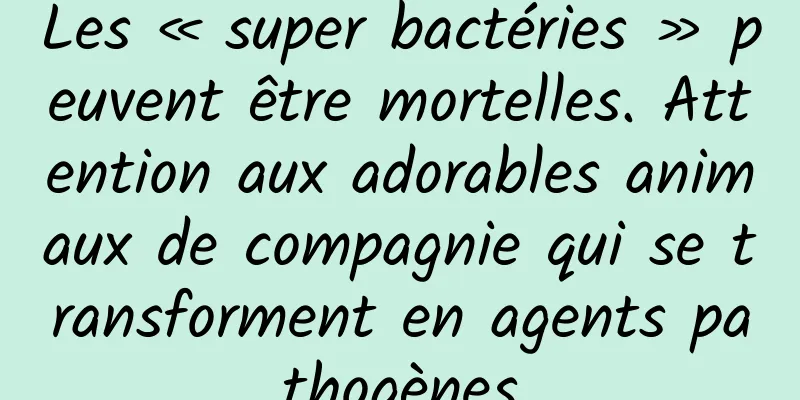 Les « super bactéries » peuvent être mortelles. Attention aux adorables animaux de compagnie qui se transforment en agents pathogènes