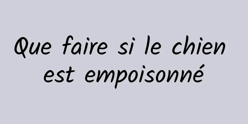 Que faire si le chien est empoisonné