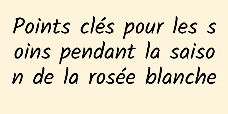 Points clés pour les soins pendant la saison de la rosée blanche