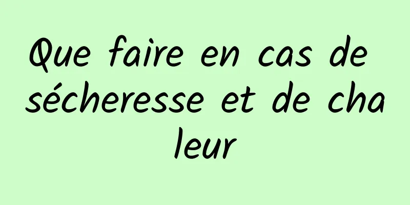 Que faire en cas de sécheresse et de chaleur