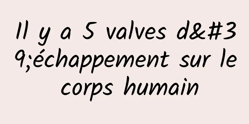 Il y a 5 valves d'échappement sur le corps humain