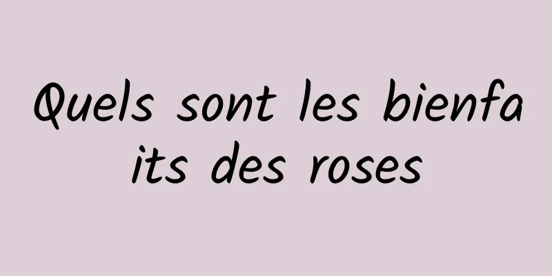 Quels sont les bienfaits des roses