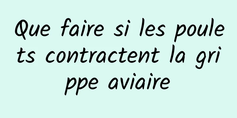 Que faire si les poulets contractent la grippe aviaire