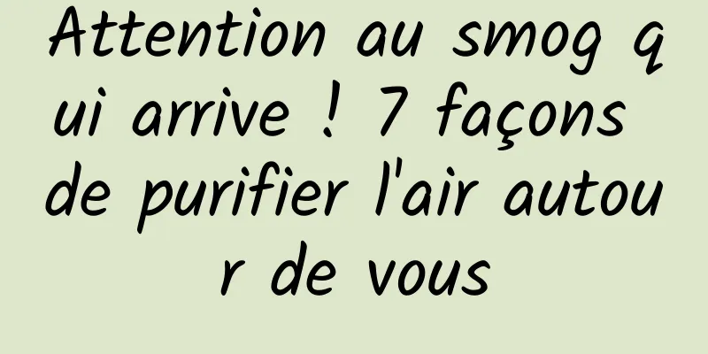 Attention au smog qui arrive ! 7 façons de purifier l'air autour de vous