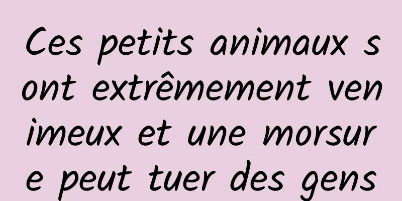 Ces petits animaux sont extrêmement venimeux et une morsure peut tuer des gens