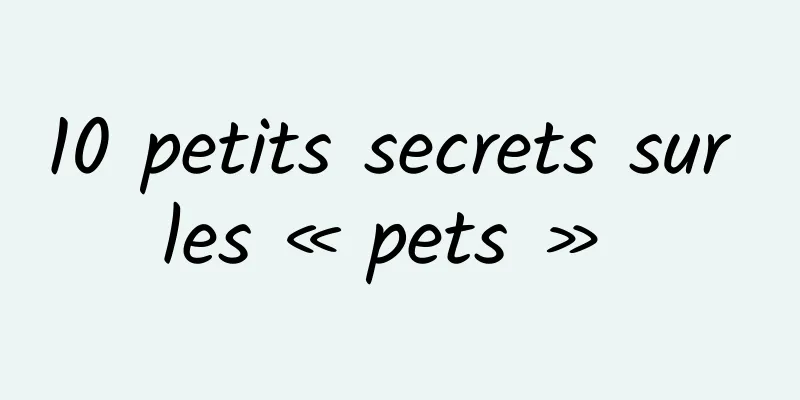 10 petits secrets sur les « pets » 