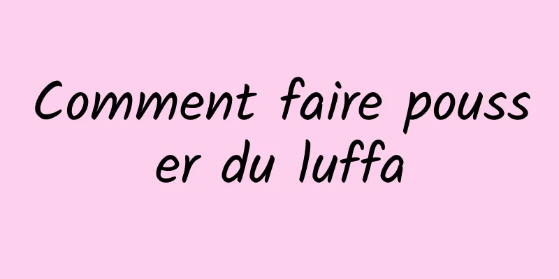 Comment faire pousser du luffa