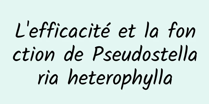 L'efficacité et la fonction de Pseudostellaria heterophylla