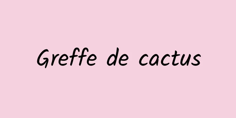 Greffe de cactus