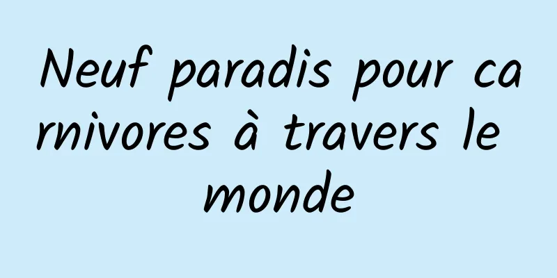 Neuf paradis pour carnivores à travers le monde