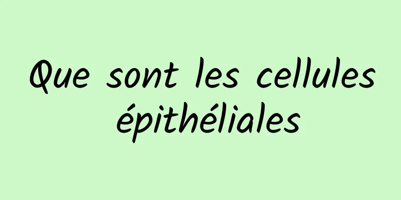 Que sont les cellules épithéliales