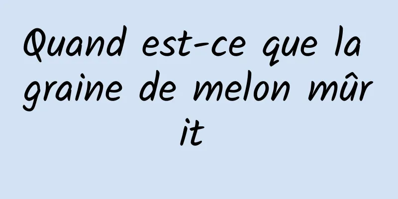 Quand est-ce que la graine de melon mûrit 