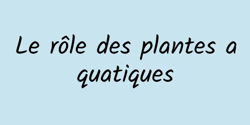 Le rôle des plantes aquatiques