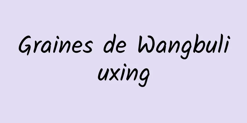 Graines de Wangbuliuxing