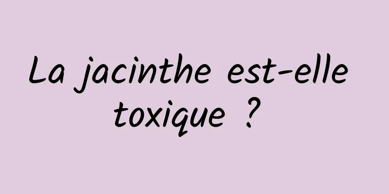 La jacinthe est-elle toxique ? 