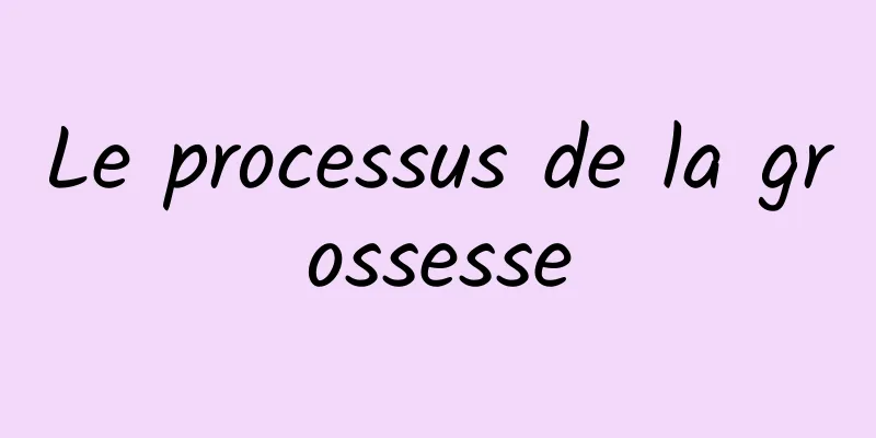 Le processus de la grossesse