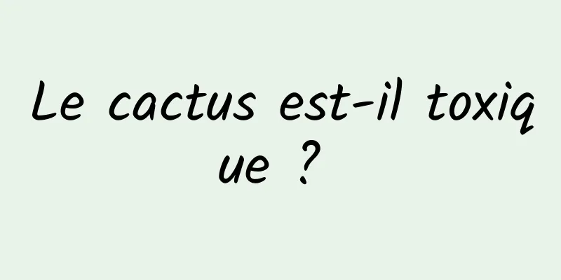 Le cactus est-il toxique ? 