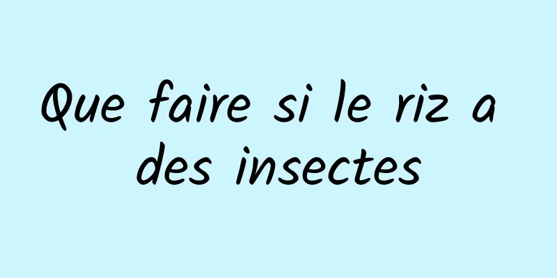 Que faire si le riz a des insectes