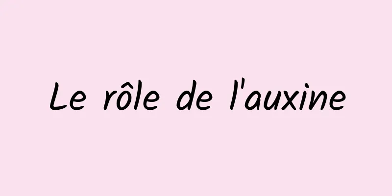 Le rôle de l'auxine