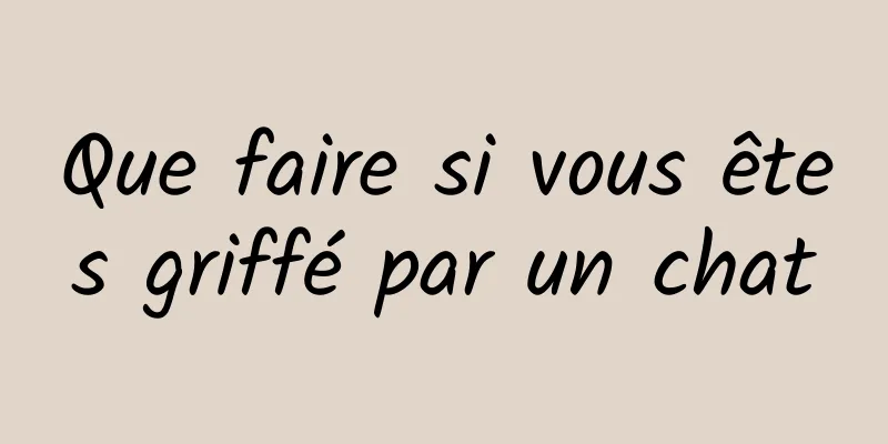 Que faire si vous êtes griffé par un chat