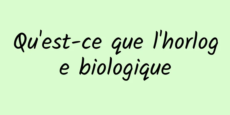 Qu'est-ce que l'horloge biologique