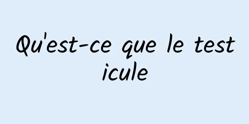 Qu'est-ce que le testicule