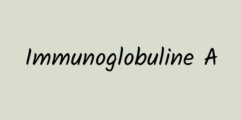 Immunoglobuline A