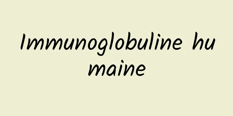 Immunoglobuline humaine