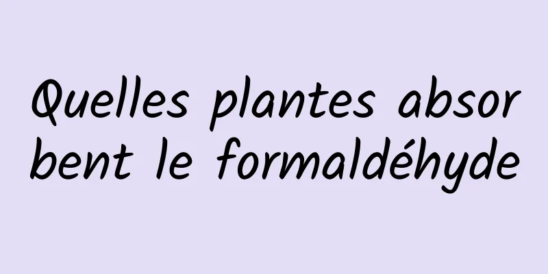 Quelles plantes absorbent le formaldéhyde