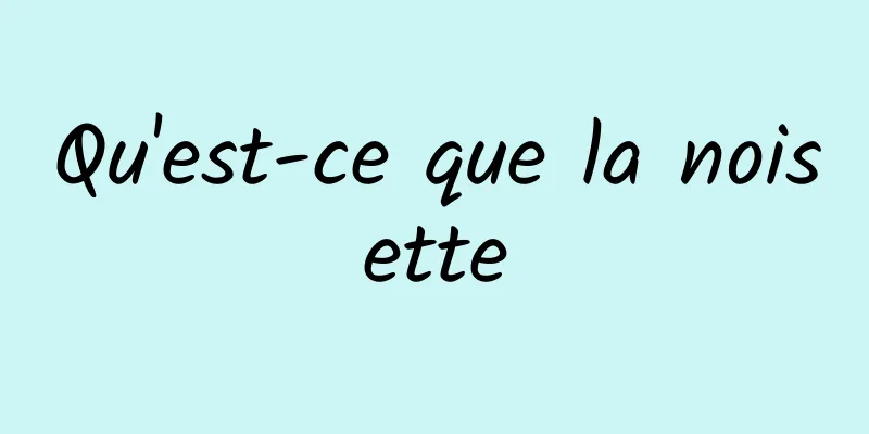 Qu'est-ce que la noisette