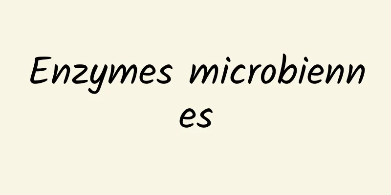 Enzymes microbiennes