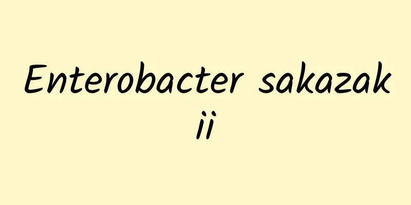 Enterobacter sakazakii